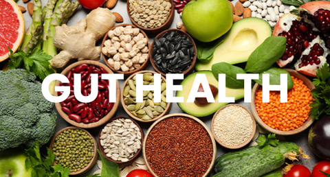 Why Your Gut Health Might Be the Missing Link to Better Energy, Mood & Hormones