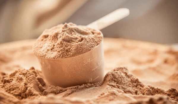 The difference between plant and whey protein, which is better? | kulture.store