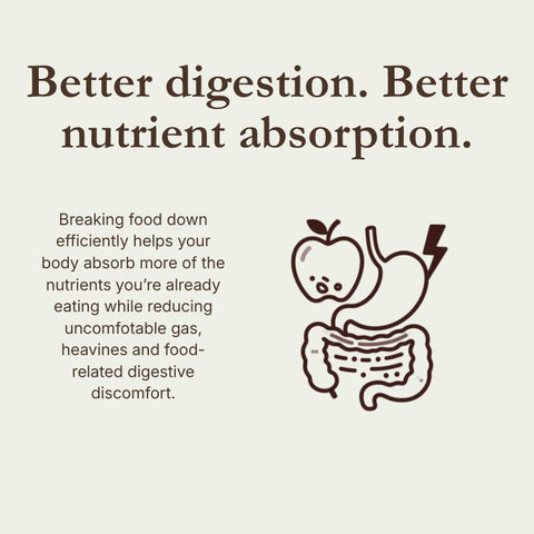 Fruitful Digest